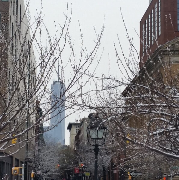 buildings, branches covered in snow